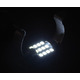 Автолампа светодиодная C5W 31mm-12SMD-3528 Изображение